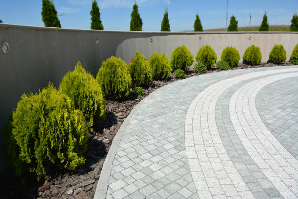 Paver Driveway Replacement in Ellicott, CO
